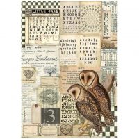 Stamperia A4 Rice paper packed - Alchemy owls (DFSA4664)
