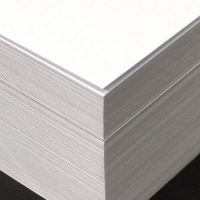 Bee Arty White Cardstock - 12"x12" - 250GSM