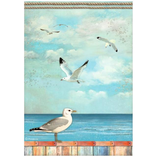 Stamperia A4 Rice paper -  Blue Dream - Seagulls (DFSA4747)