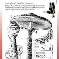 Creative Expressions - Woodware - Singles Vintage Fungi Up - Clear Stamp 4" x 6" (FRS1021)