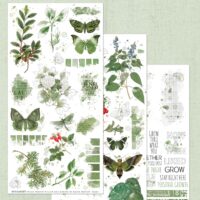 49 and Market - Colour Swatch Willow - Rub-Ons - Willow (WCS-27976)