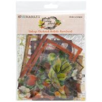 49&Market - Vintage Orchard - Acetate Assortment (VO-28904)